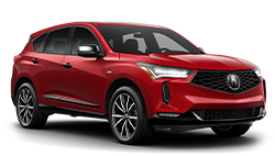 RDX